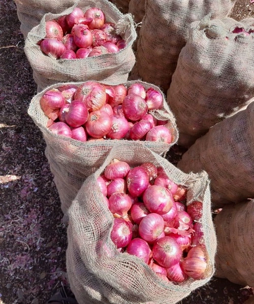Jute Onion Sacks
