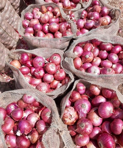 Hessian Onion Sacks